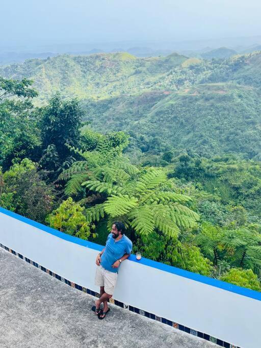 Villa Verde Luz: A Virgin Forest Yauco Exterior photo