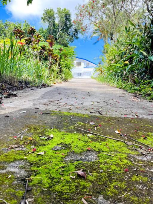 Villa Verde Luz: A Virgin Forest Yauco Exterior photo