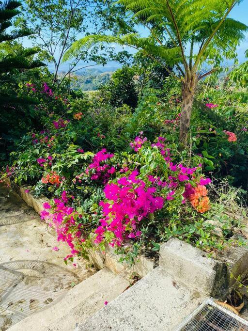 Villa Verde Luz: A Virgin Forest Yauco Exterior photo