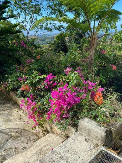 Villa Verde Luz: A Virgin Forest Yauco Exterior photo