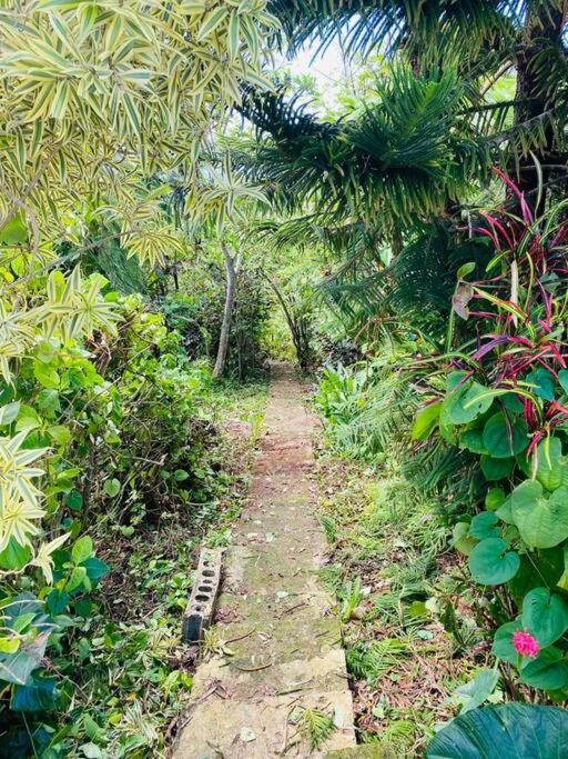 Villa Verde Luz: A Virgin Forest Yauco Exterior photo