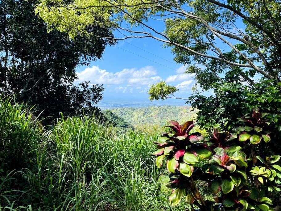 Villa Verde Luz: A Virgin Forest Yauco Exterior photo